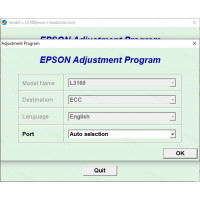 EPSON L3160 ink clearing program